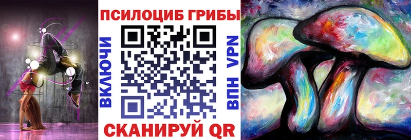 Псилоцибиновые грибы MAGIC MUSHROOMS  ОМГ ОМГ зеркало  Алексин  магазин  наркотиков 